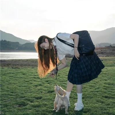 海鹰